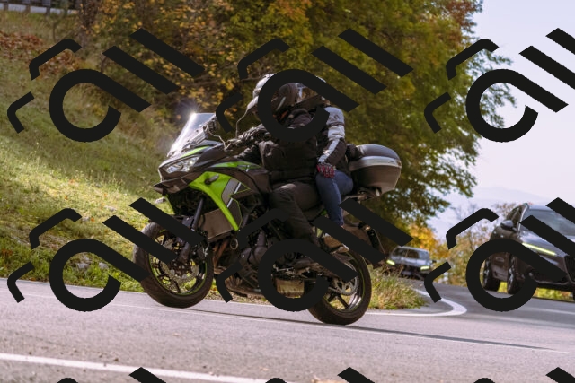 202510191131-_DSC1687_d1_