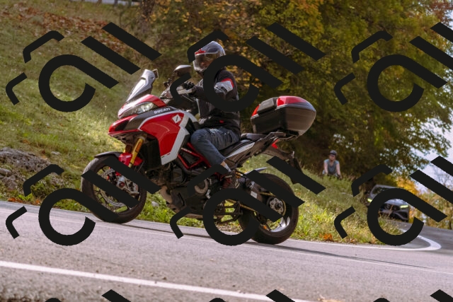 202510191131-_DSC1689_d1_