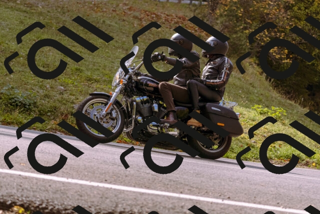 202510191131-_DSC1692_d1_