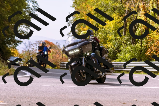 202510191133-_DSC1695_d1_