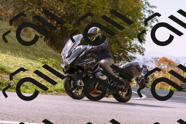 202510191133-_DSC1697_d1_