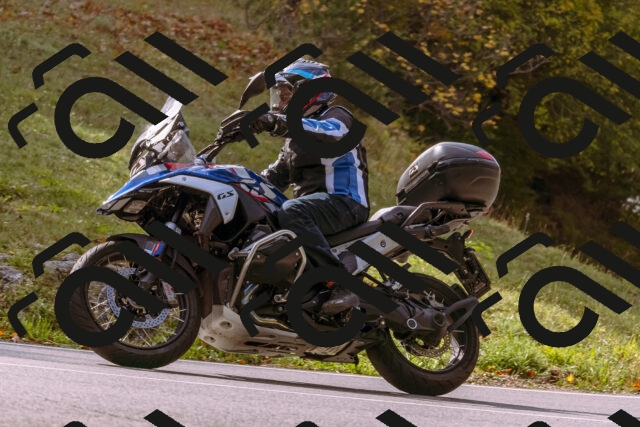 202510191133-_DSC1699_d1_