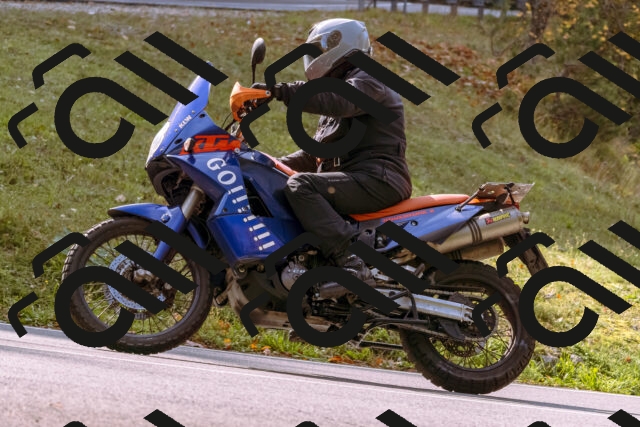 202510191133-_DSC1702_d1_