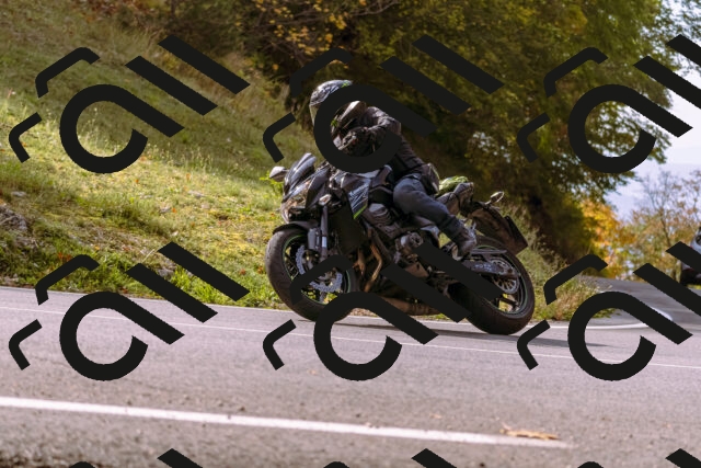 202510191133-_DSC1703_d1_