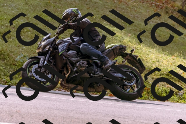 202510191133-_DSC1704_d1_