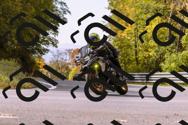 202510191136-_DSC1705_d1_