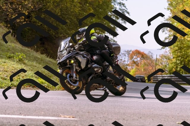 202510191136-_DSC1706_d1_