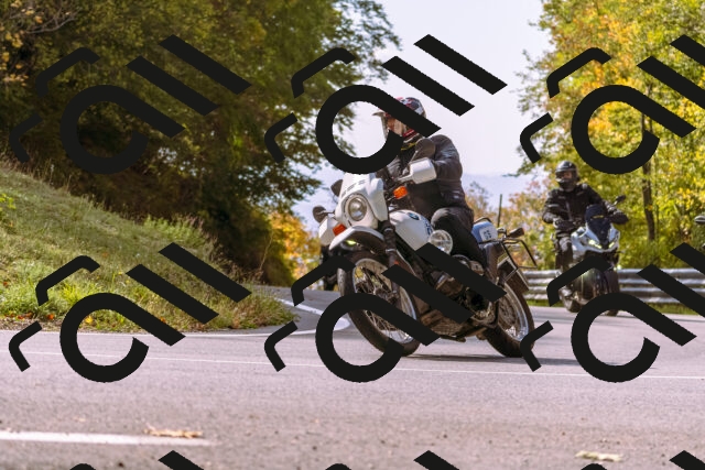 202510191141-_DSC1718_d1_