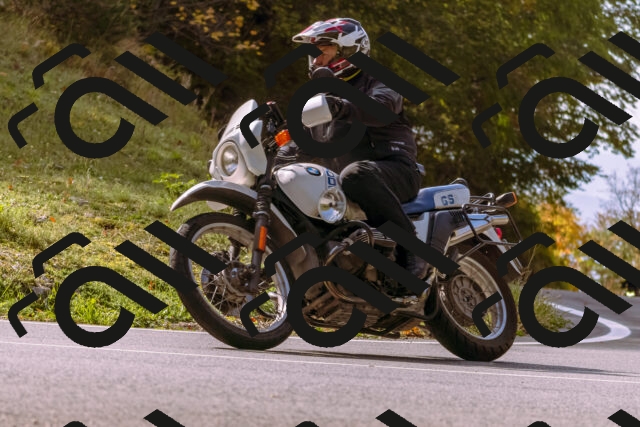 202510191141-_DSC1719_d1_