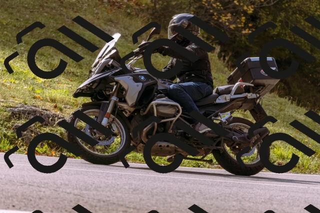 202510191141-_DSC1721_d1_