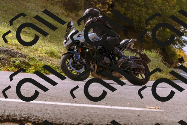 202510191141-_DSC1722_d1_