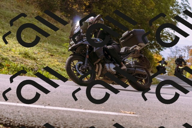 202510191141-_DSC1724_d1_