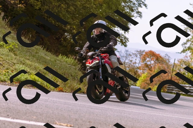 202510191141-_DSC1727_d1_