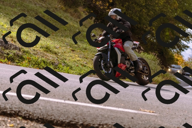 202510191141-_DSC1728_d1_