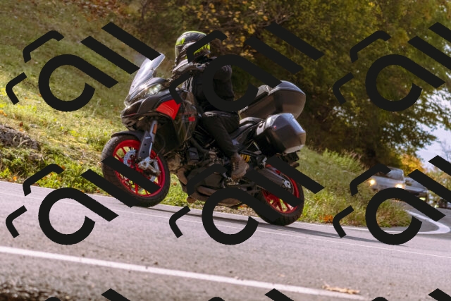 202510191141-_DSC1730_d1_