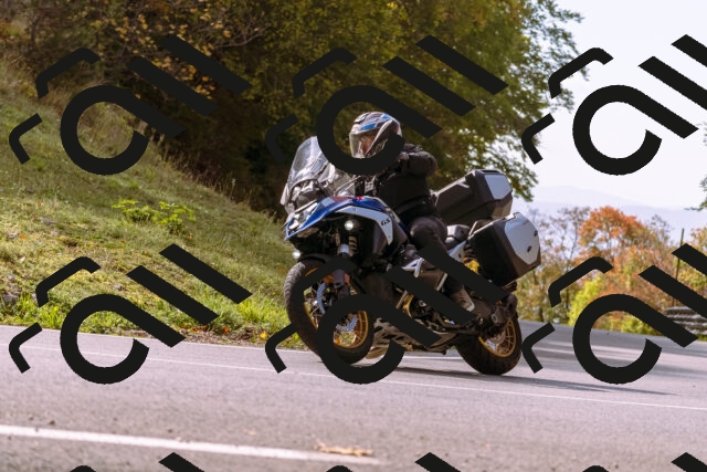 202510191142-_DSC1734_d1_