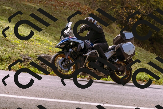 202510191142-_DSC1735_d1_