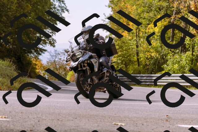 202510191142-_DSC1737_d1_