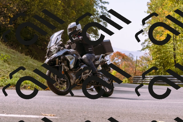 202510191142-_DSC1738_d1_