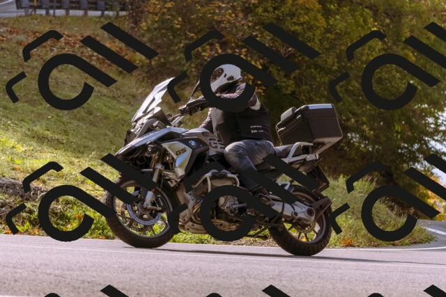 202510191142-_DSC1739_d1_