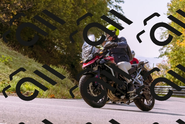 202510191142-_DSC1741_d1_