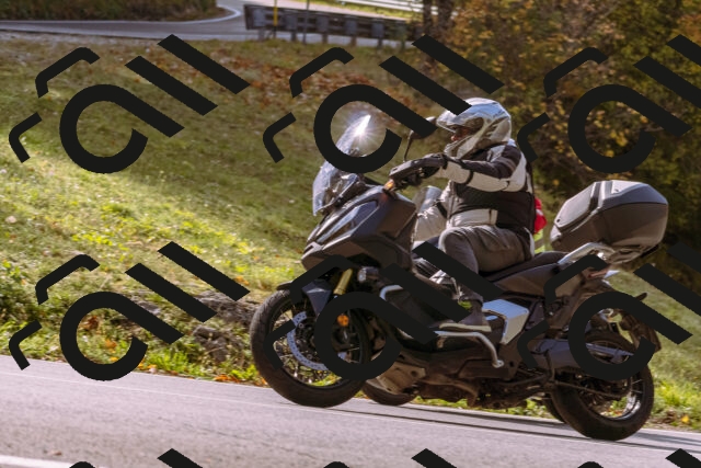 202510191142-_DSC1744_d1_