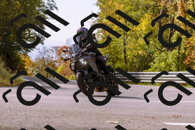 202510191144-_DSC1745_d1_