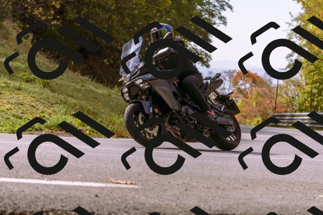 202510191144-_DSC1746_d1_