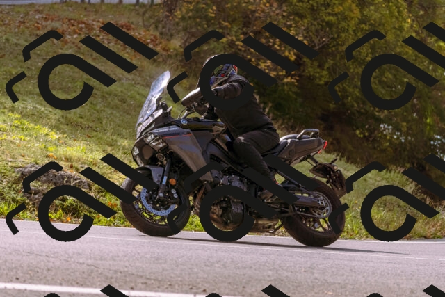 202510191144-_DSC1747_d1_