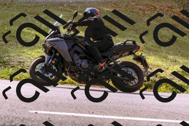 202510191144-_DSC1748_d1_