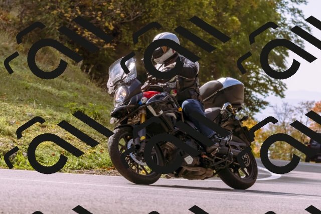 202510191145-_DSC1750_d1_