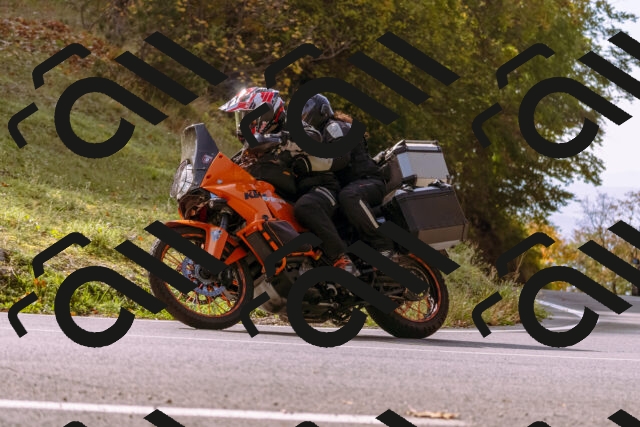 202510191145-_DSC1752_d1_