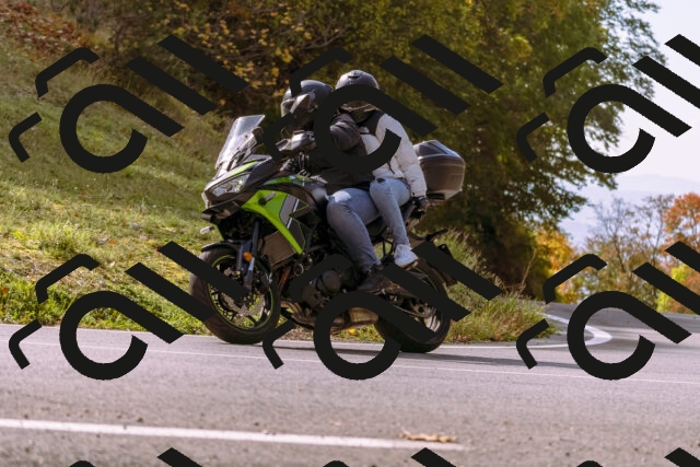 202510191145-_DSC1756_d1_