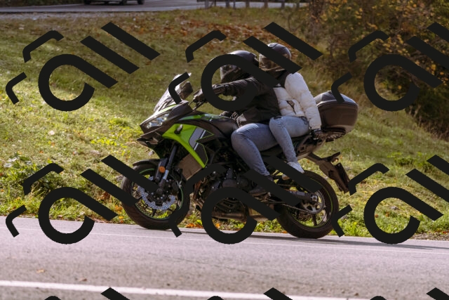 202510191145-_DSC1757_d1_