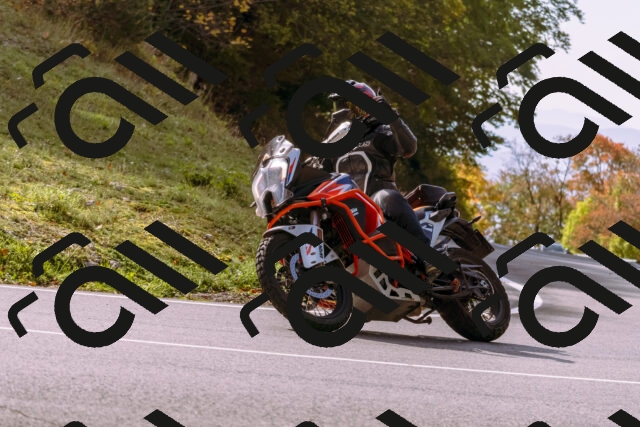 202510191146-_DSC1762_d1_