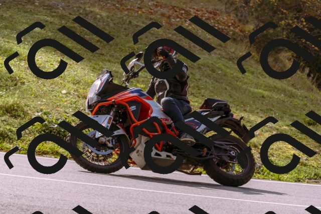 202510191146-_DSC1763_d1_