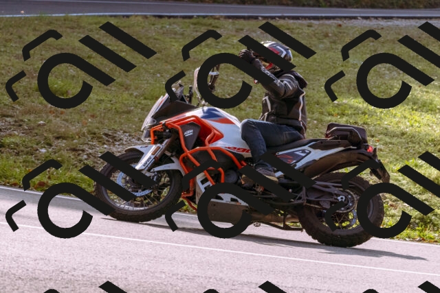 202510191146-_DSC1764_d1_