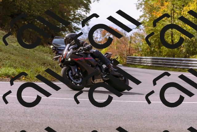 202510191147-_DSC1767_d1_