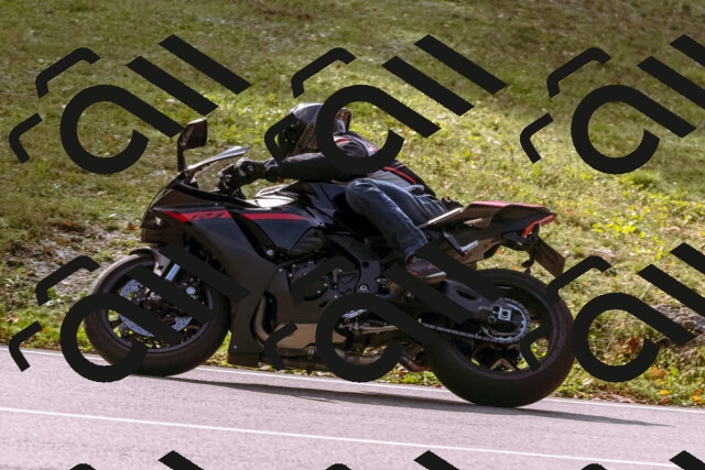 202510191147-_DSC1769_d1_