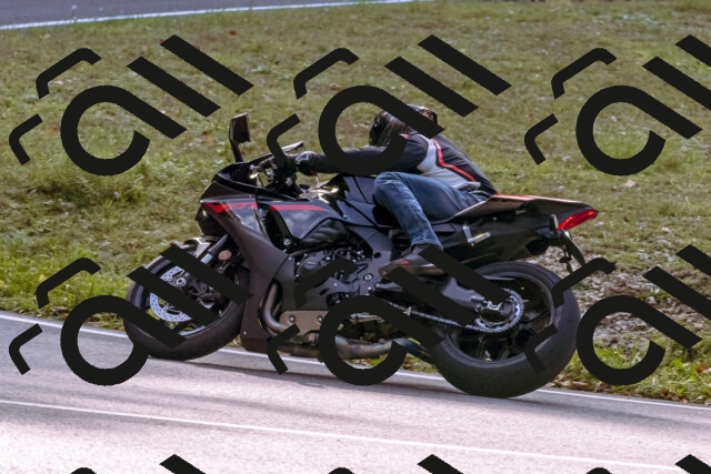 202510191147-_DSC1770_d1_