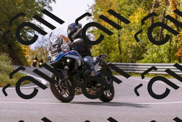 202510191147-_DSC1775_d1_