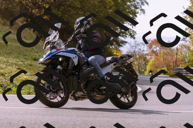 202510191147-_DSC1776_d1_