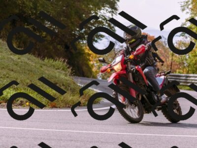 202510191147-_DSC1778_d1_