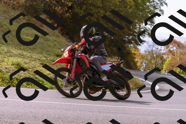 202510191147-_DSC1779_d1_