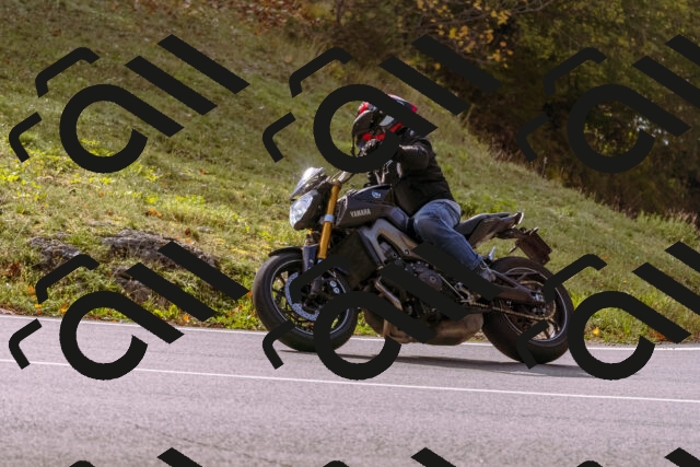 202510191147-_DSC1781_d1_