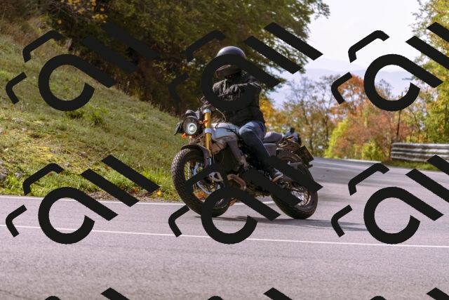 202510191147-_DSC1782_d1_