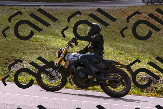 202510191147-_DSC1784_d1_