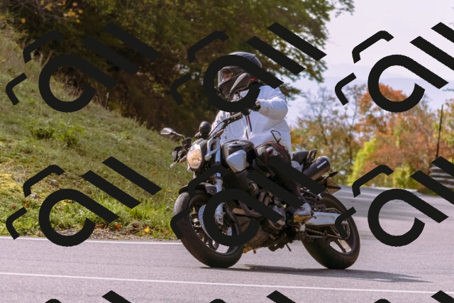 202510191147-_DSC1786_d1_