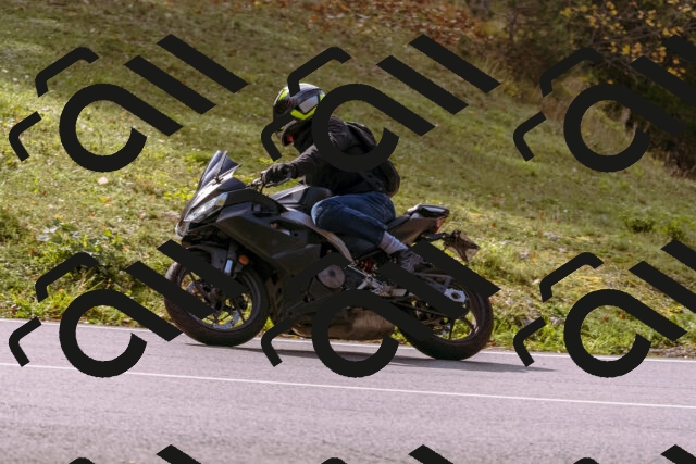 202510191147-_DSC1788_d1_