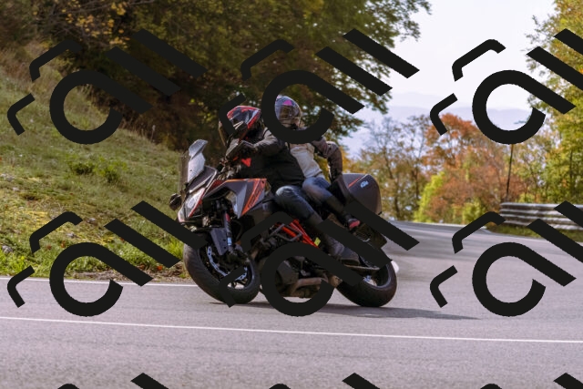 202510191148-_DSC1791_d1_